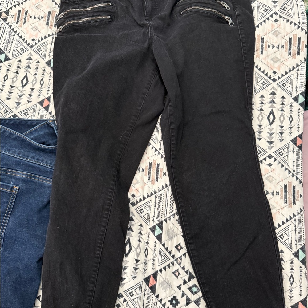 Torrid Black Premium Pants